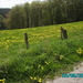 Ardennen 022
