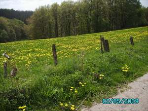 Ardennen 022