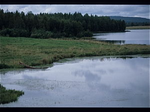 Finland land der 1000 meren