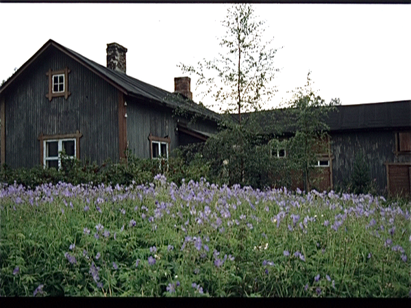 Flora in Finland