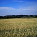 Het wordt weer te warm