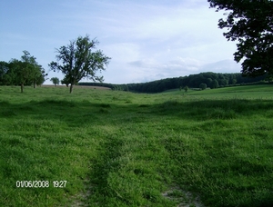 HPIM0726