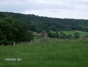 HPIM0710