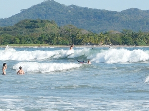 2007-12  292 Surfers 12-08