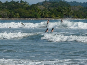 2007-12  293 Surfers 12-08