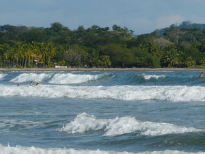 2007-12  294 Surfers 12-08