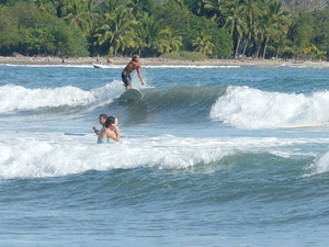 2007-12  296 Surfers 12-08