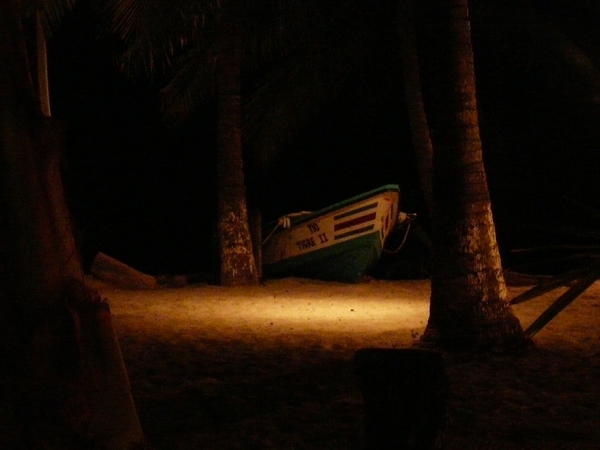 2007-12  317 Beach 12-08