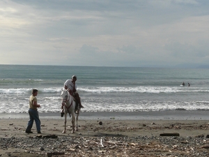 2007-12  360 Jaco Beach-paard 12-11