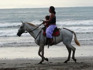 2007-12  363 Jaco Beach-Paard 12-11