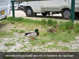 100_5135