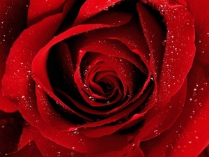 058