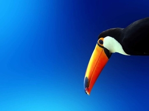 165