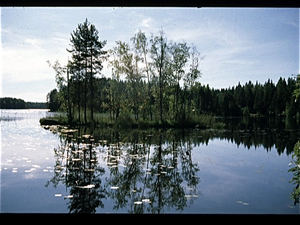 Kareli  (Finland)