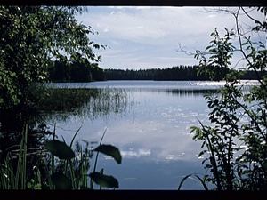 Kareli  (Finland)