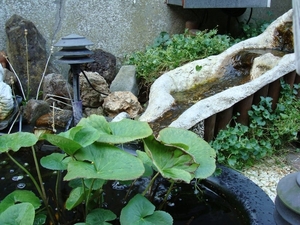 DSC01173_800x600