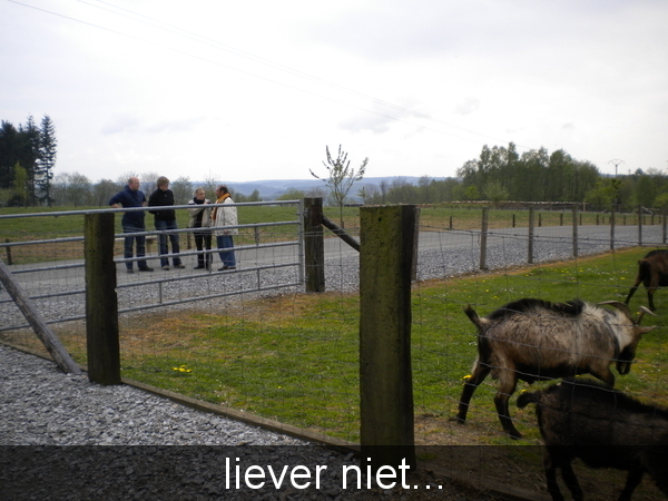 dieren