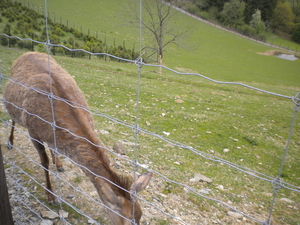 Wandeling Rochehaut