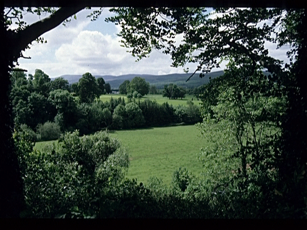 Black River  (Ierland)