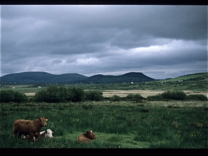 Black River  (Ierland)