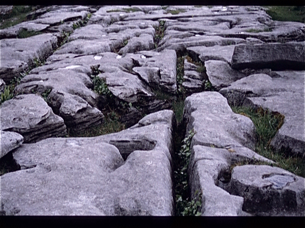 The Burren  (Ierland)