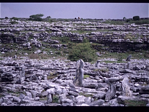 The Burren  (Ierland)