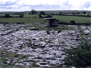 The Burren  (Ierland)