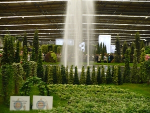 P1010826