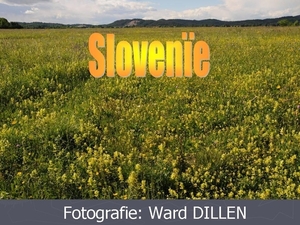 Slovenïe (Ward Dillen) 2