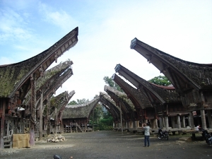 Palawa Tonghonan met stieren horens voor de huisen