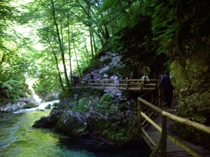 SLOVENIË 29 mei tot 6 juni 2010 121
