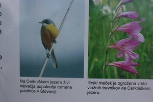 slovenie 260