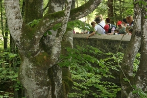 slovenie 272