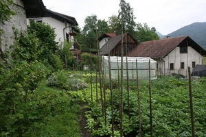 slovenie 341