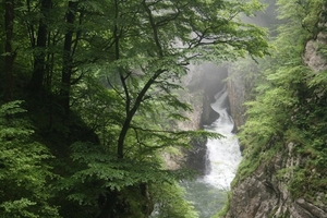 slovenie 437