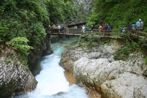 slovenie 459