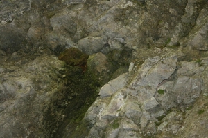 slovenie 461