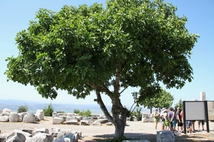C Canakkale GezondheidscentrumIMG_5569 (28)