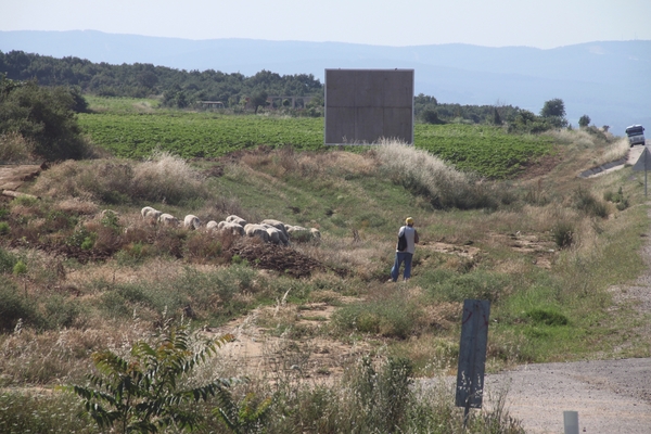 D Istanbul en boottochtIMG_5692 (9)