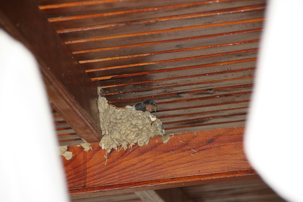 N Kusadasi Hotel Pine Bay MarinaIMG_4793 (27)