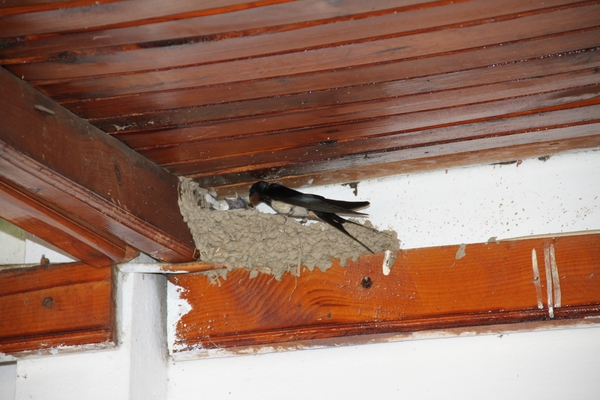 N Kusadasi Hotel Pine Bay MarinaIMG_4793 (29)