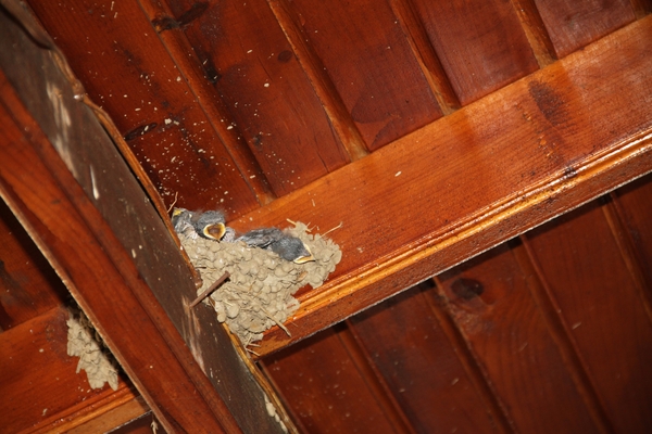 N Kusadasi Hotel Pine Bay MarinaIMG_4793 (30)