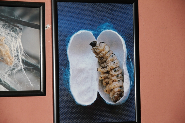 N Kusadasi Hotel Pine Bay MarinaIMG_4793 (8)