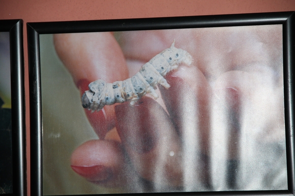 N Kusadasi Hotel Pine Bay MarinaIMG_4793 (9)