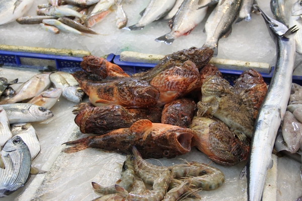 O Kusadasi Hotel Ephesia BeachIMG_4834 (85)