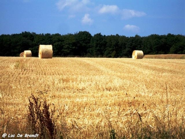 Ardennen Adeps wandeling Feschaux