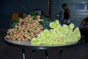 Balcatraz 2010 (96)