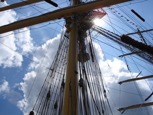 Antwerpen  Tall Ships Race (22)