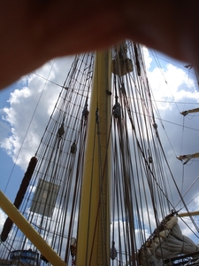 Antwerpen  Tall Ships Race (23)