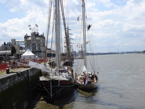Antwerpen  Tall Ships Race (25)